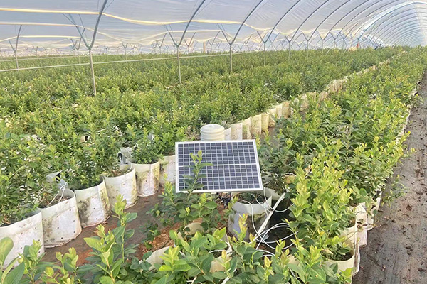 大棚温度自动控制系统图片