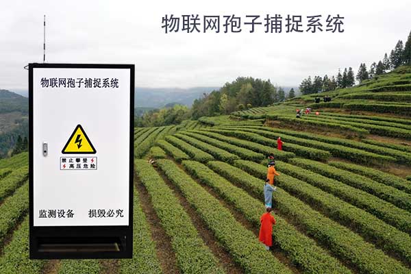物联网孢子捕捉系统图片