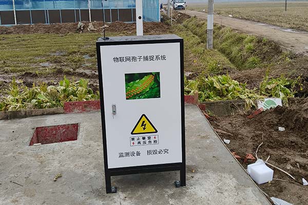 农业高标准农田图片6