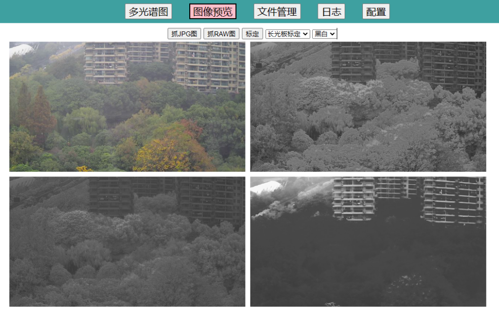 图片11.png